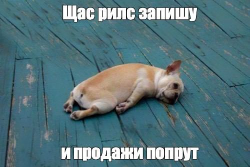 Image title